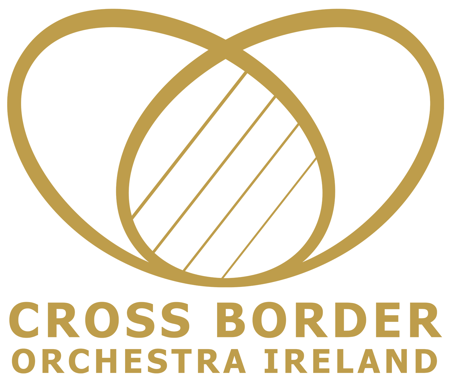 Cross Border Orchestra of Ireland  |  Peace Proms
